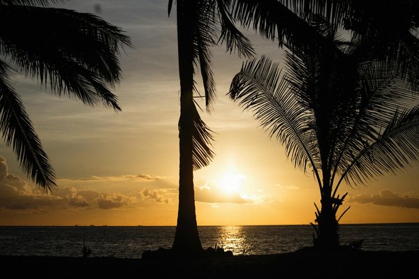 How can you participate in a Victorian Christmas craft workshop in the Cotswolds?