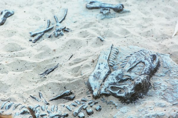 How to prepare for a camping trip that includes fossil hunting in the UK?