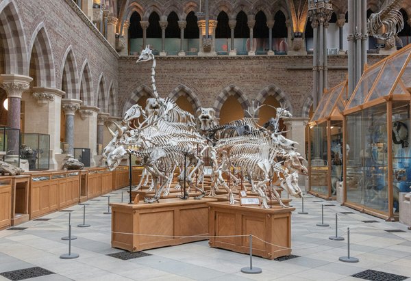 Which UK museums offer the most comprehensive exhibits on British colonial history?